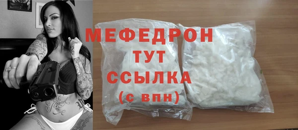 индика Абаза