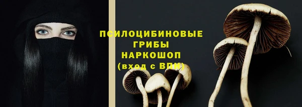 индика Абаза