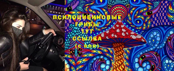 винт Алзамай